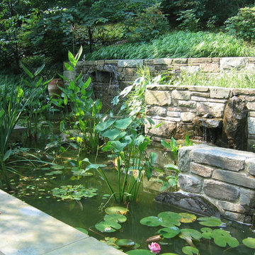 Woodland Retreat