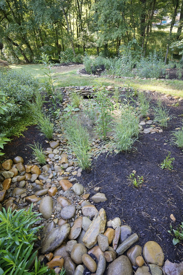 French Broad Rain Garden