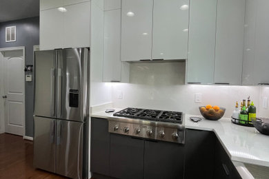 Inspiration for a modern kitchen remodel in DC Metro