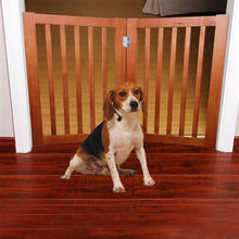 dreamhouse pet accesaries