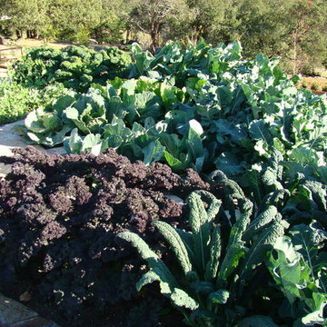 Vegetable gardens