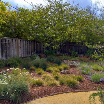 A Garden for Relaxation and Nature Observation