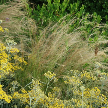 Giardino naturale