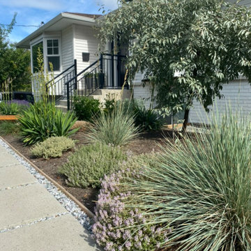 Brentwood Front Garden