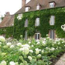 garden plants