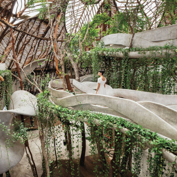 5 principles of effective Biophilic Design
