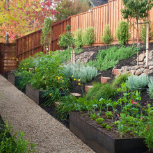 Garden Slopes