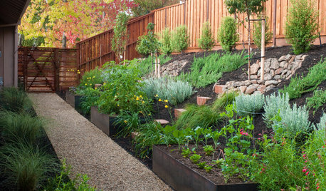 Que faire dans son jardin au mois de février ?