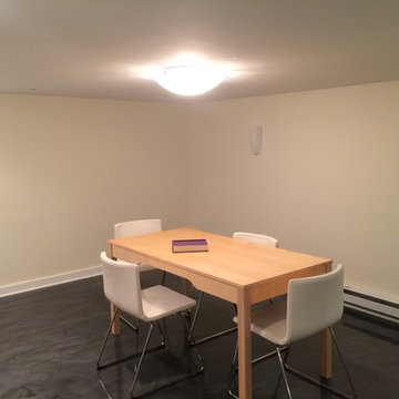 Contemporary Basement