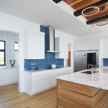 Cedar Lake Modern