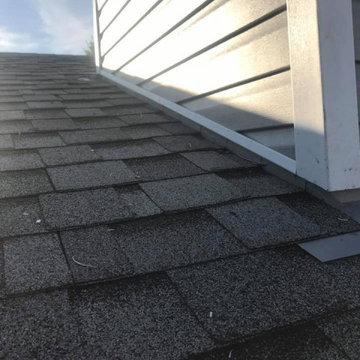 Shingle Roofs