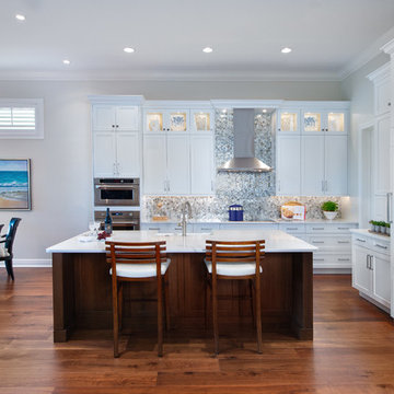Bonita Springs Transitional Kitchen Remodel