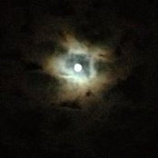 Daniel Estrada's photo