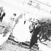 Grey Gorille's photo