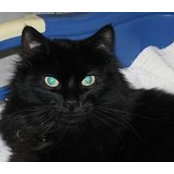 Mike Ponkow's photo
