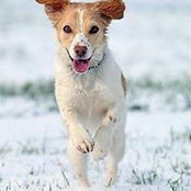 Bryan Zenner's photo