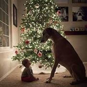 Kristi Sockwell's photo