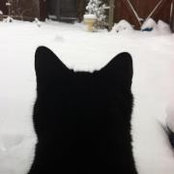 Lizzy Bollington-Kinch's photo