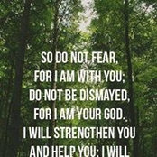 Susan Dill DiNetta's photo
