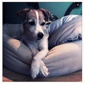Chrisch Remstedt's photo