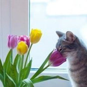 Dani Hietpas's photo