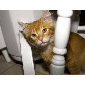 Lindsay Chag's photo