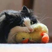 Foto von Mim Kebblewhite