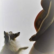 Elise Rein's photo