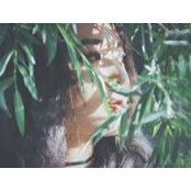 Чанцалдулам> Ё.'s photo