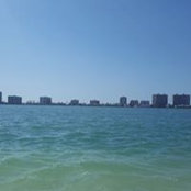 Betsy Brandon's photo