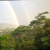 Foto di Dennis Rowe