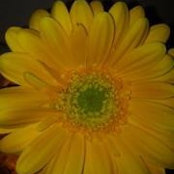 Katherine Ewald's photo