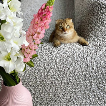 Mamma Mia Couch Covers | High Stretch Pet Protectors
