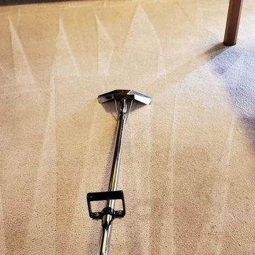 Carpet Cleaning a House in Surrey BC Canada