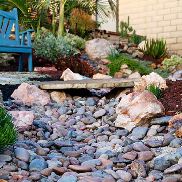 Lake Forest HOA Home Front Yard Remodel with Drought Tolerant Succulent Garden