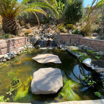 Turtle Pond with Beach and Wetland Filter