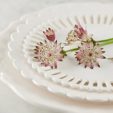 Our tableware and serveware