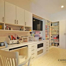 Den/office/playroom