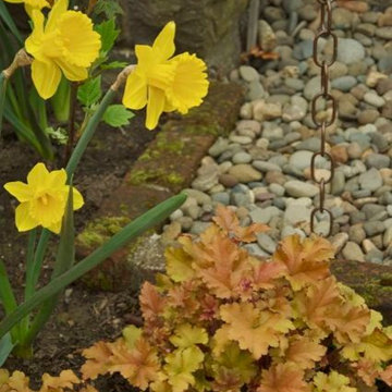 Craftsman Style Landscape Upgrade - Mt. Tabor