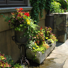 flower pots