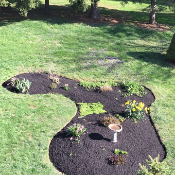 2015 04 22 - Constitution Drive - landscaping desing