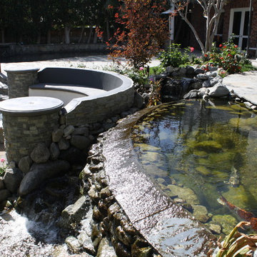 Beverly Hills Tranquility