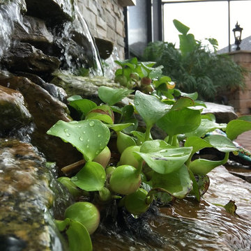 Emily's Outdoor Living Paradise