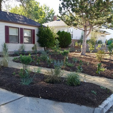 Xeriscape Reno Nevada