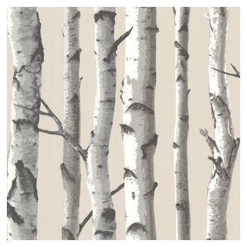 Tuxbury Beige Birch Tree Wallpaper, Bolt