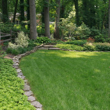 Landscape Ideas