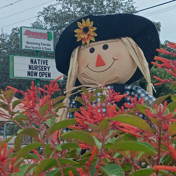 Retail Nursery