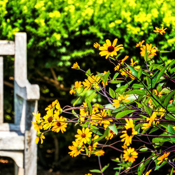 Floral Photography