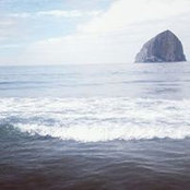Anne Johnson's photo