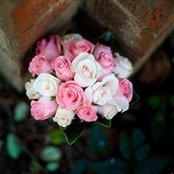 Joanna Lee's photo